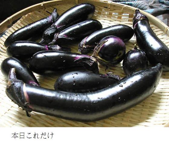 イメージ 10