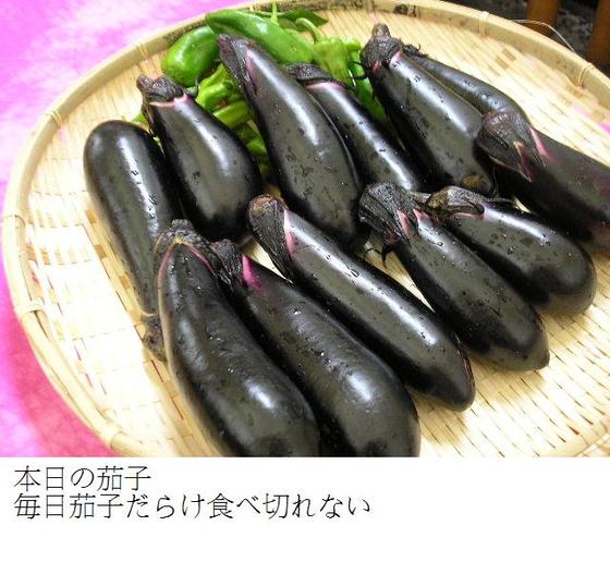 イメージ 9