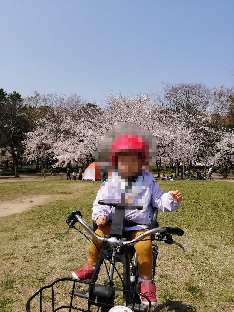 f:id:hanamaru0710:20200419145312j:image