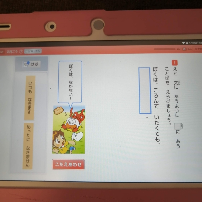 f:id:hanamaru_life:20210129131038j:plain