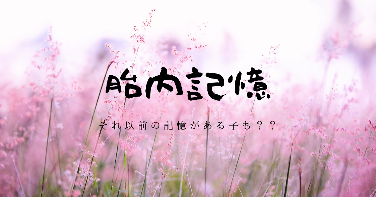 f:id:hanamaru_life:20210309150327p:plain