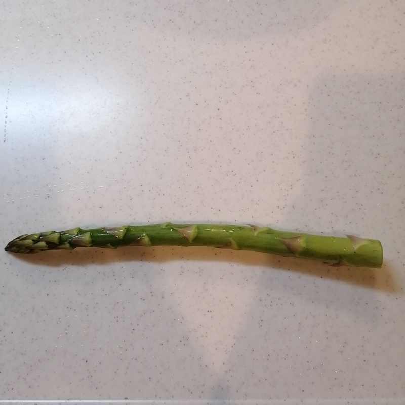 f:id:hanamaru_life:20210411165208j:plain