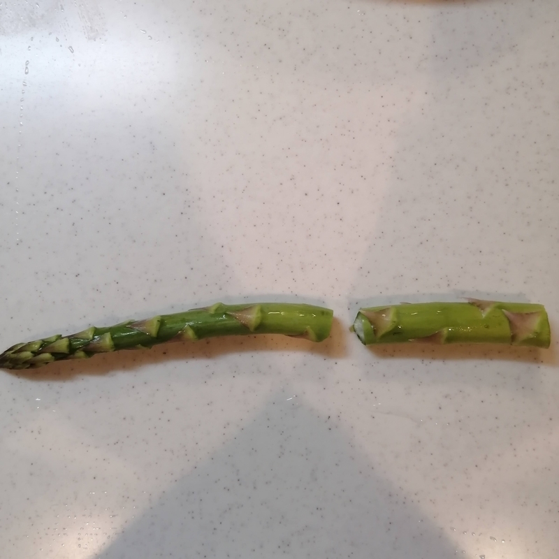 f:id:hanamaru_life:20210411165351j:plain