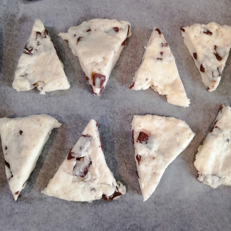 f:id:hanamaru_life:20210724072116j:plain