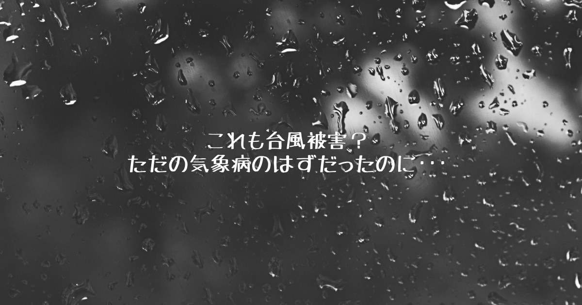 f:id:hanamaru_life:20210817140918p:plain