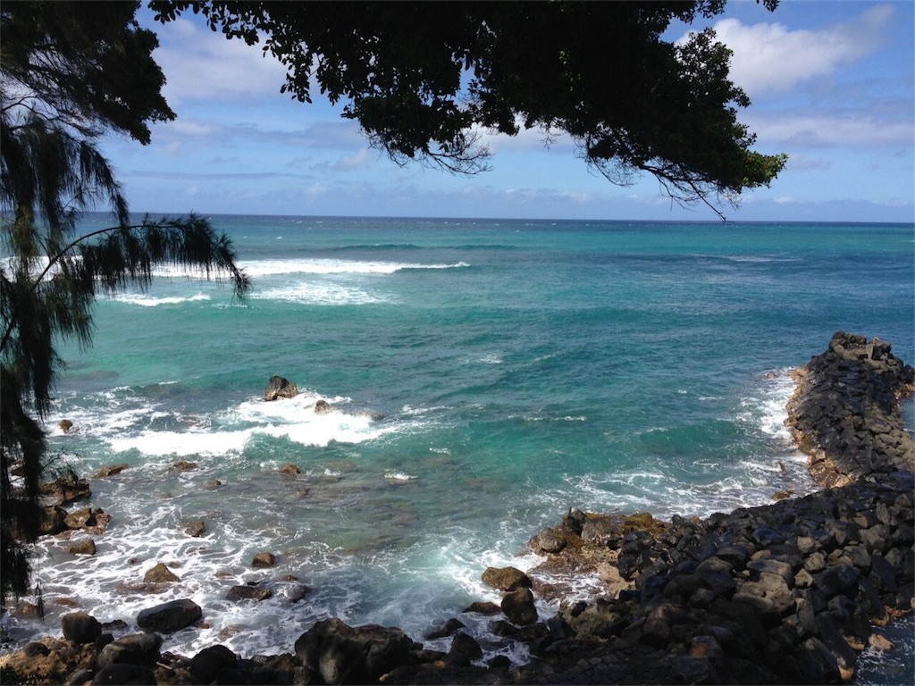 f:id:hanamaui77:20180912223548j:image f:id:hanamaui77:20180912223548j:image