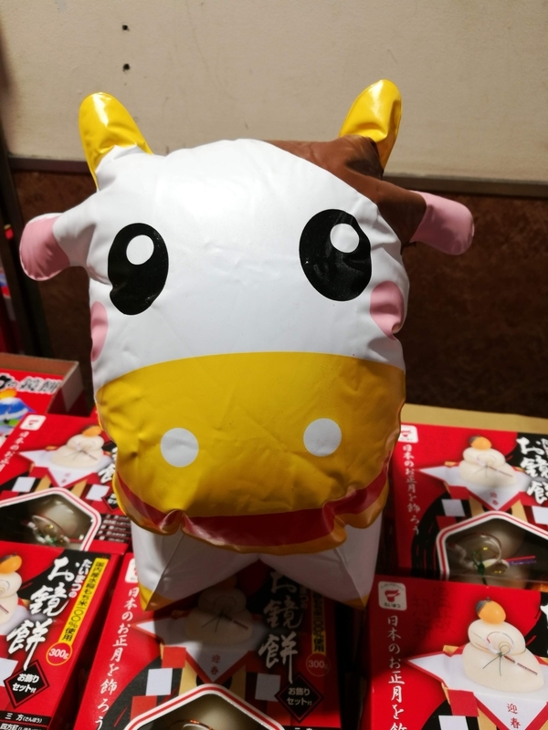 f:id:hanamifujita:20201225230028j:plain
