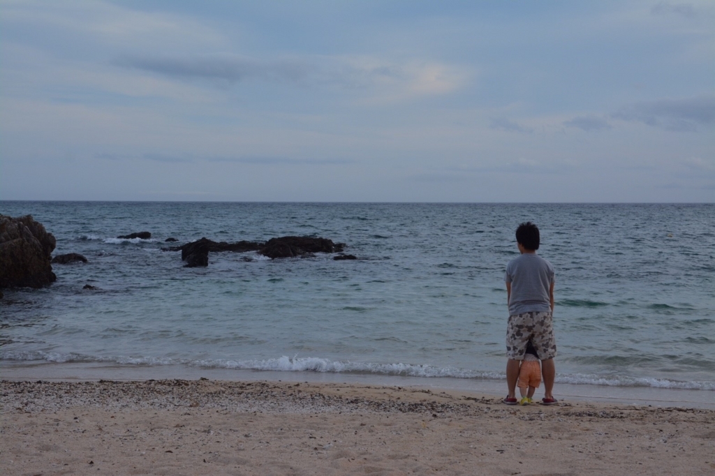 f:id:hanamile:20170901231159j:plain