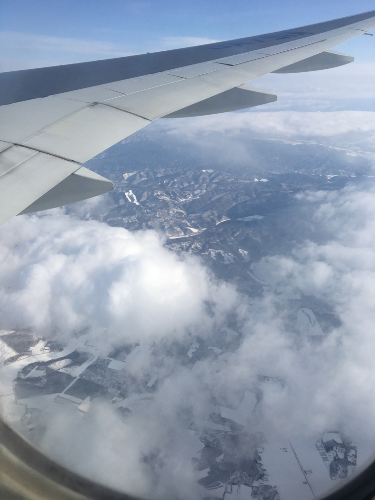 f:id:hanamile:20180317142657j:plain