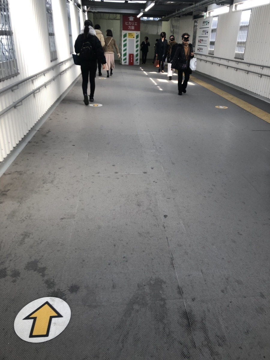 f:id:hanamiseyo:20190328162803j:plain