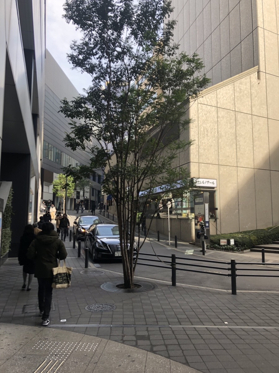 f:id:hanamiseyo:20190328162805j:plain