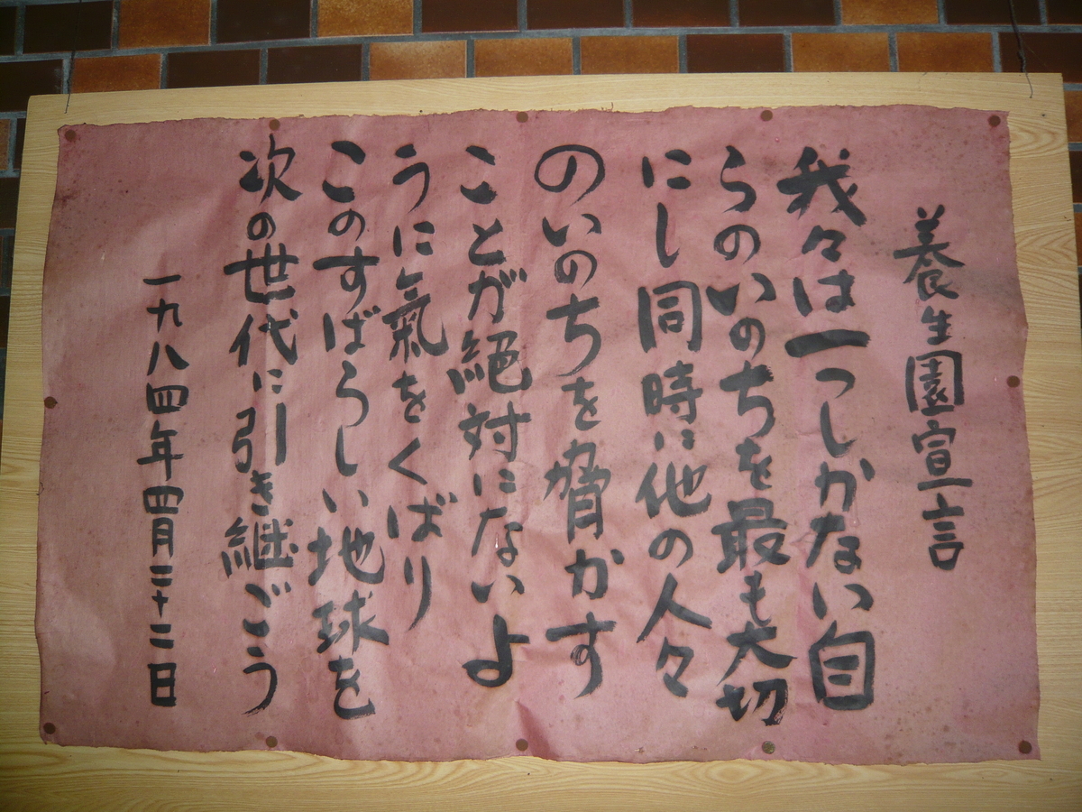 f:id:hanamiso:20220407082047j:plain