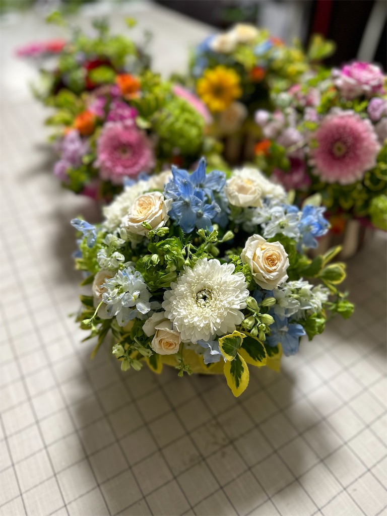 f:id:hanamizuki-masa:20230407000430j:image f:id:hanamizuki-masa:20230407000430j:image