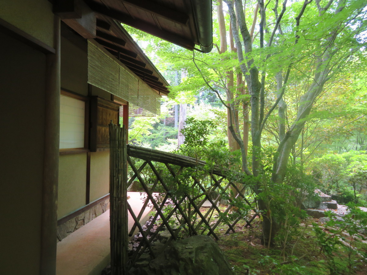 f:id:hanamizuki-notes:20190530090357j:plain