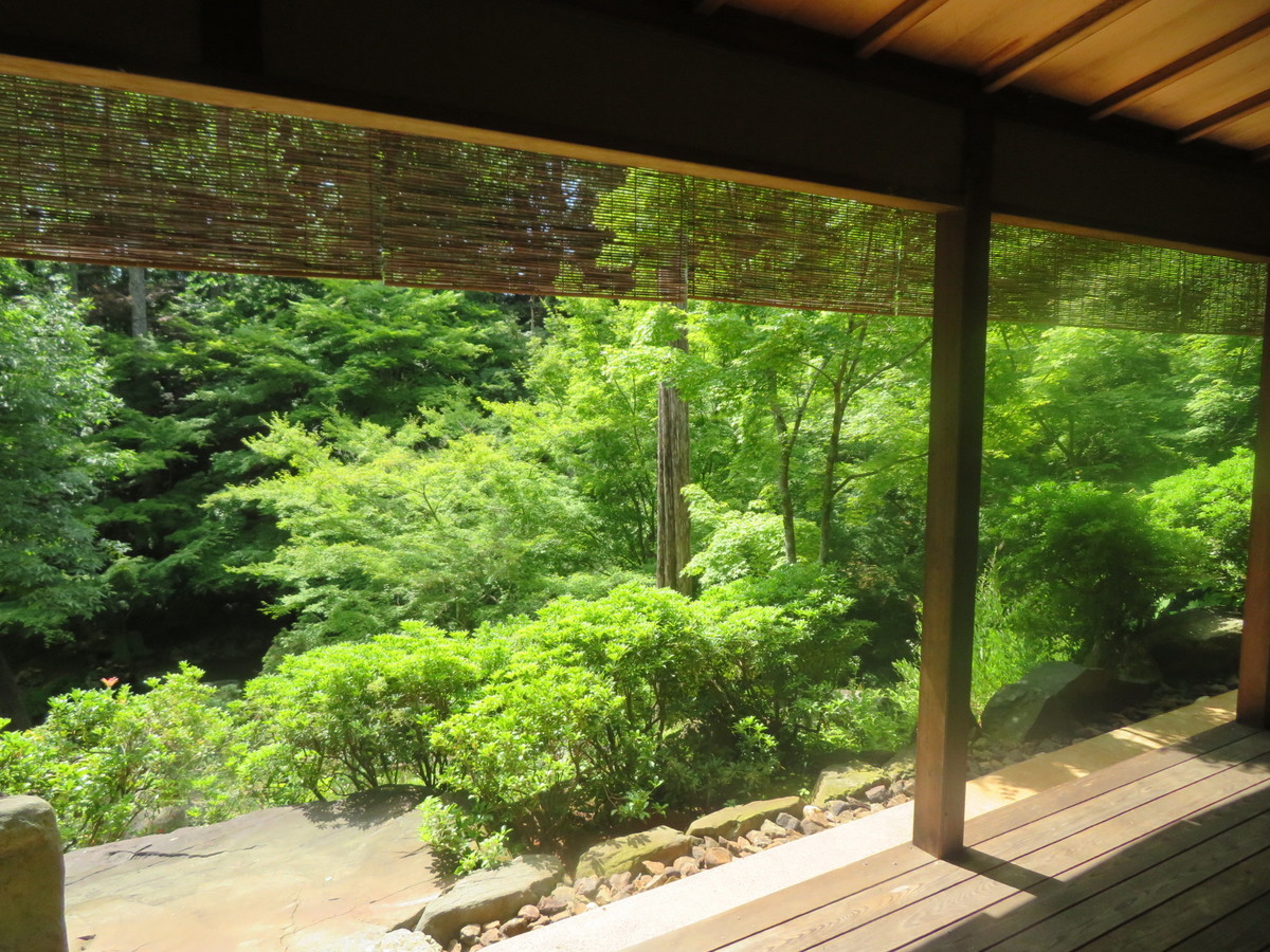 f:id:hanamizuki-notes:20190530102533j:plain