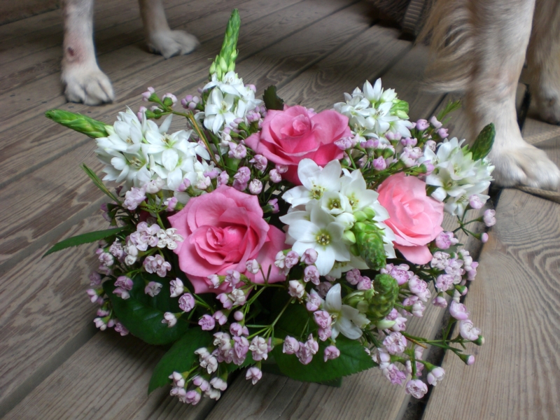 f:id:hanamizuki1966:20101023143313j:image:w400