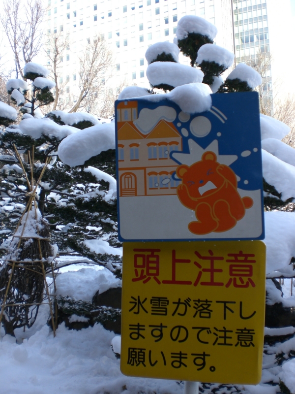 f:id:hanamizuki1966:20101130140226j:image:h400