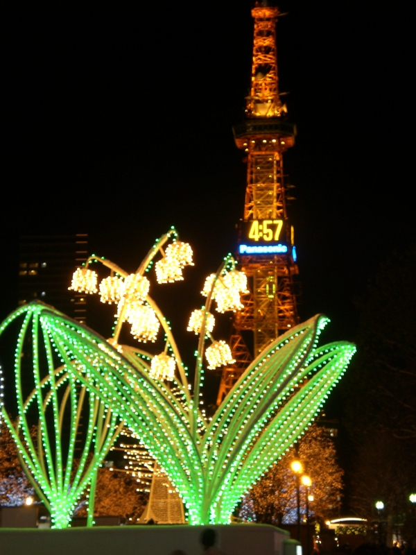 f:id:hanamizuki1966:20101130165729j:image:h400