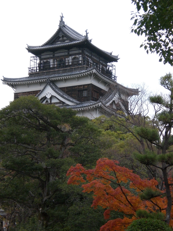f:id:hanamizuki1966:20101211153134j:image:h300