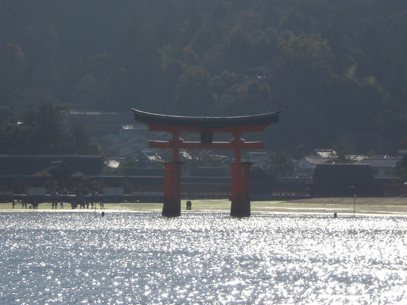 f:id:hanamizuki1966:20101212100219j:image:w400