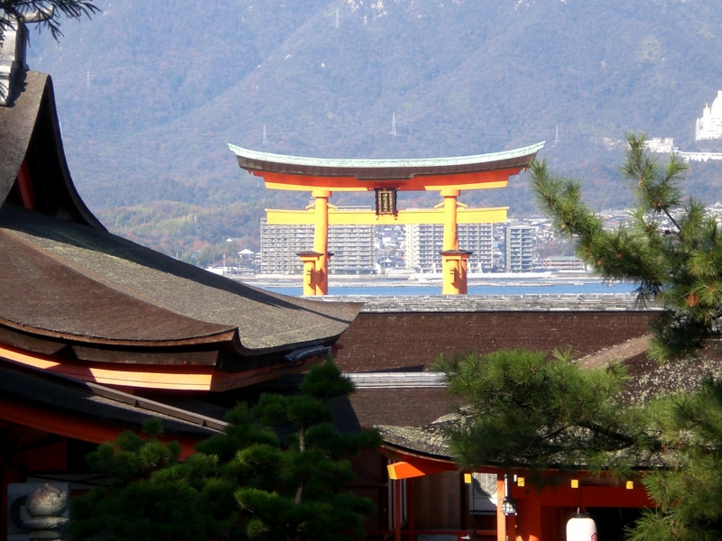 f:id:hanamizuki1966:20101212104423j:image:w400