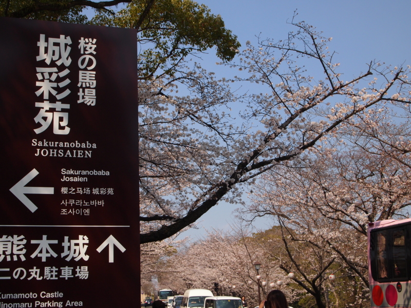 f:id:hanamizuki1966:20110330134328j:image:w400