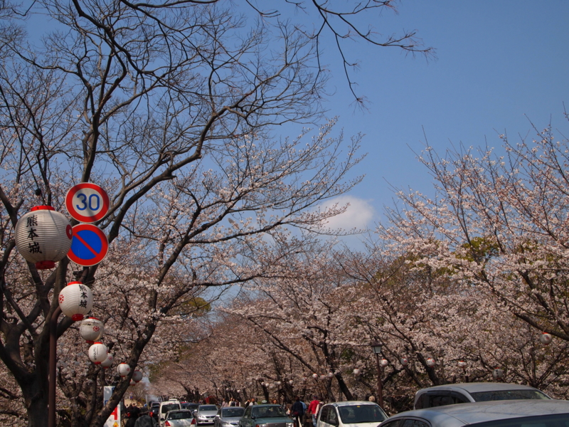 f:id:hanamizuki1966:20110330134604j:image:w500