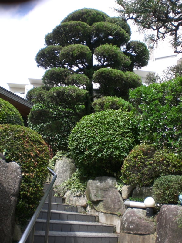 f:id:hanamizuki1966:20110621150810j:image:h400