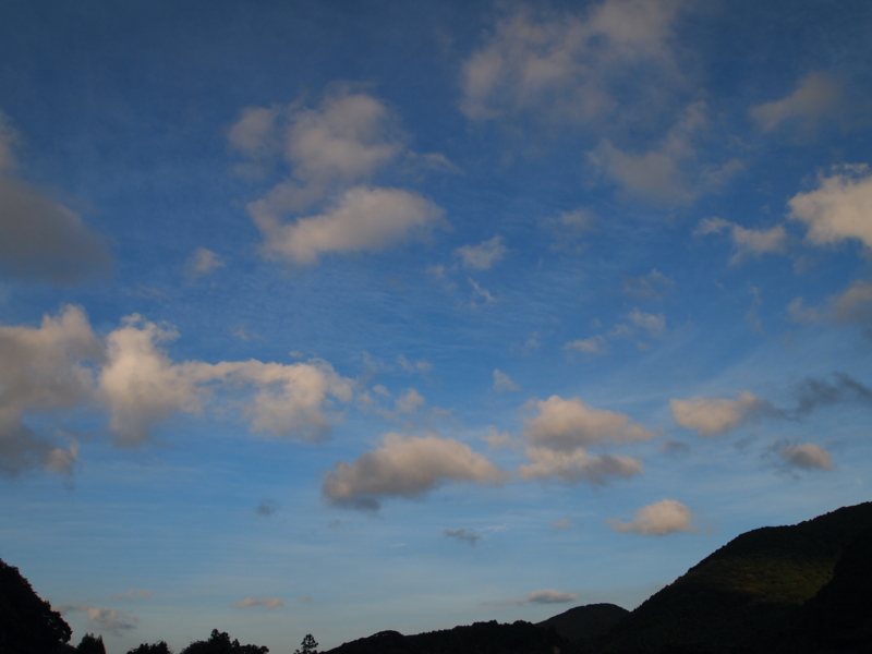 f:id:hanamizuki1966:20110811182639j:image:w500