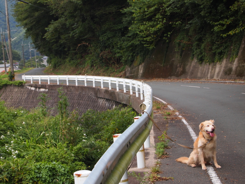 f:id:hanamizuki1966:20110929104504j:image:w350