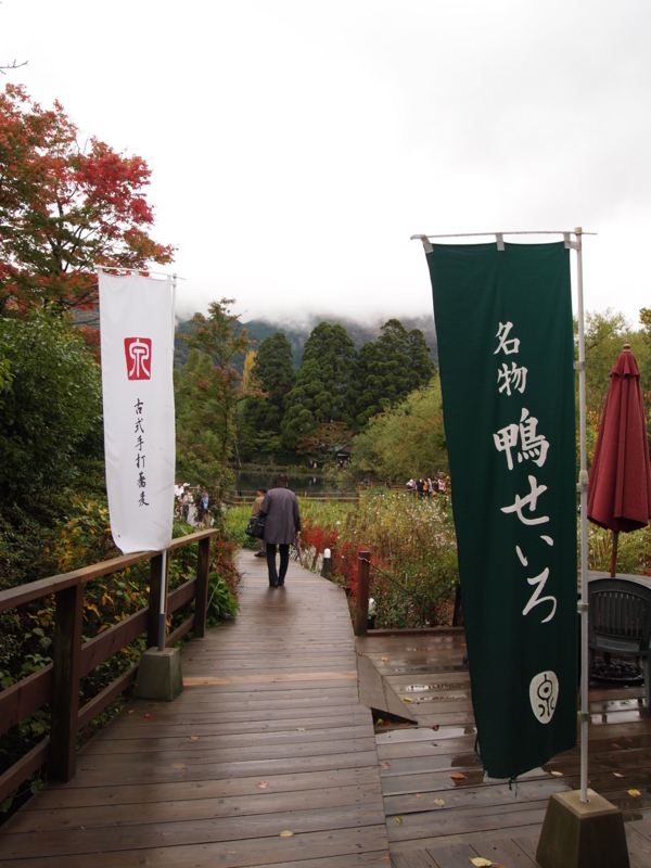 f:id:hanamizuki1966:20111106142849j:image:h350