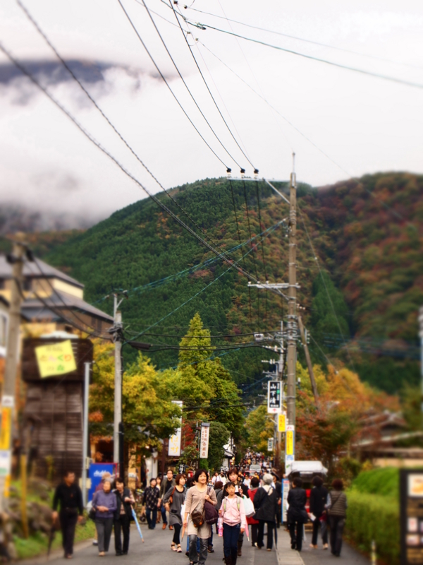 f:id:hanamizuki1966:20111106154910j:image:h400