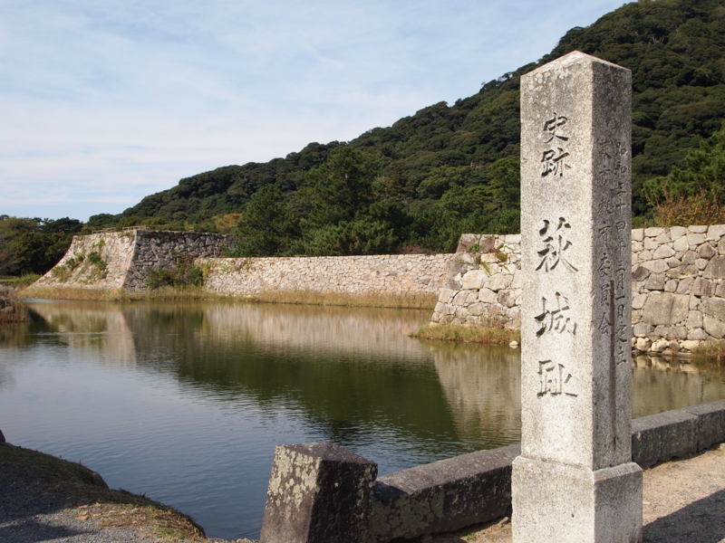 f:id:hanamizuki1966:20111112120754j:image:w400