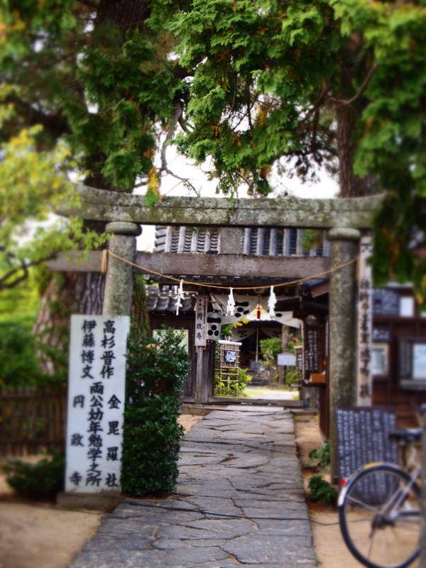 f:id:hanamizuki1966:20111112141249j:image:h400