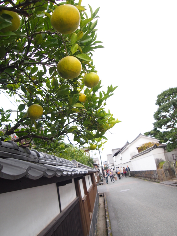 f:id:hanamizuki1966:20111112144004j:image:h400