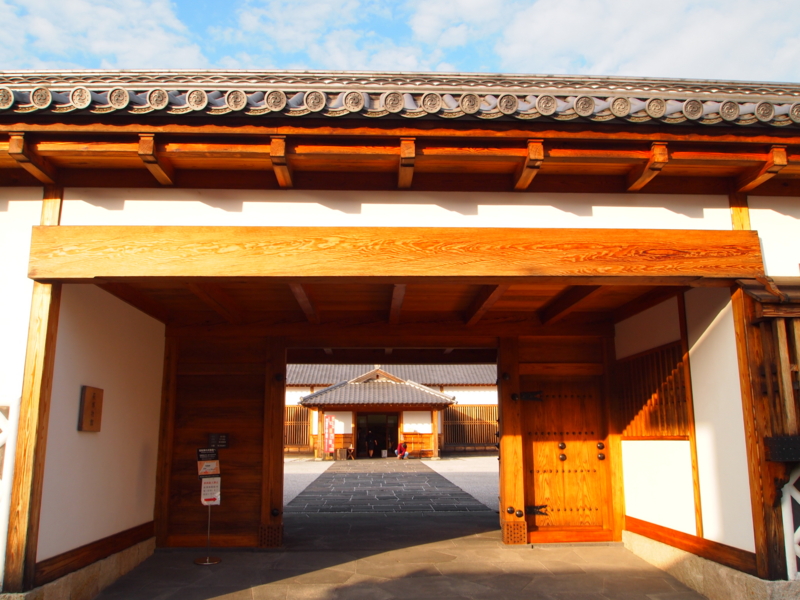 f:id:hanamizuki1966:20111112153413j:image:w400