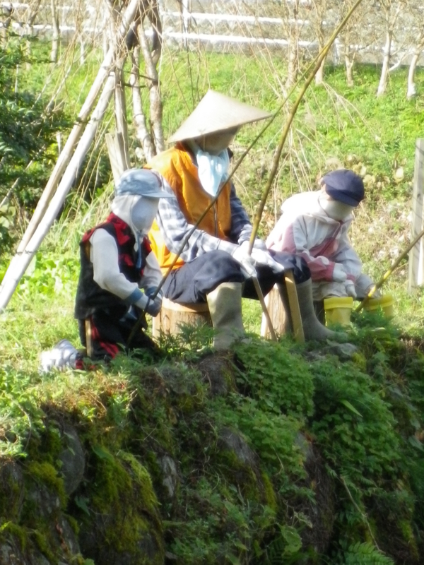 f:id:hanamizuki1966:20111124094512j:image:h350