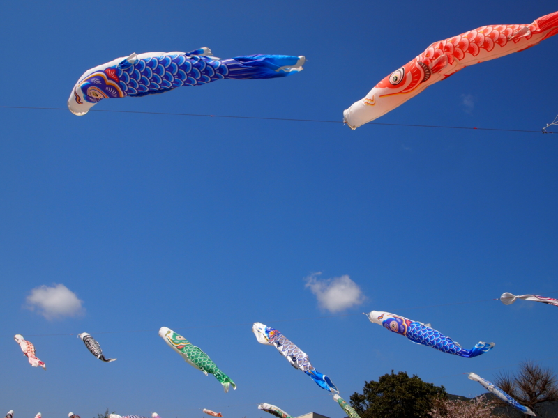 f:id:hanamizuki1966:20120414135646j:image:w500