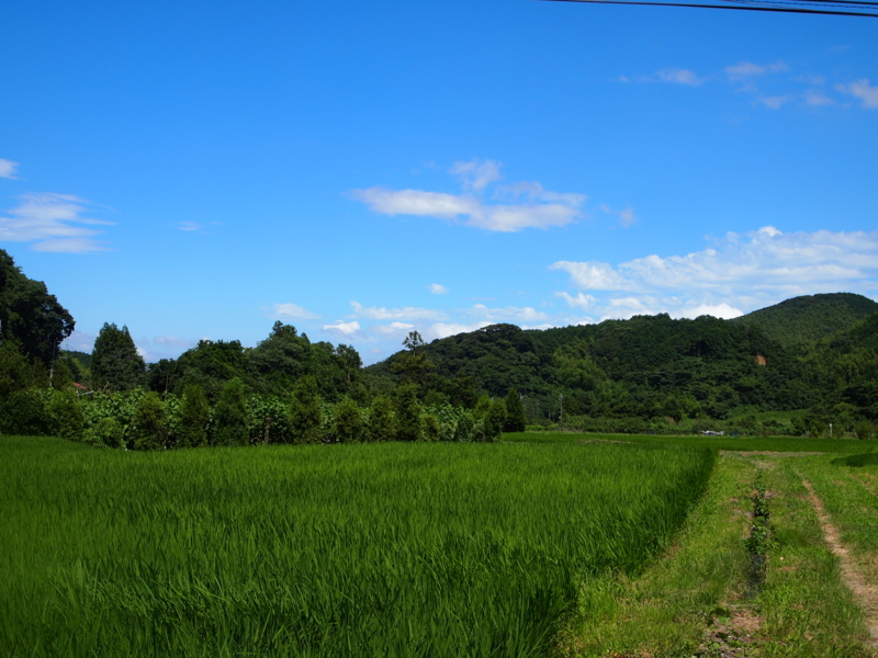 f:id:hanamizuki1966:20120718143426j:image:w500