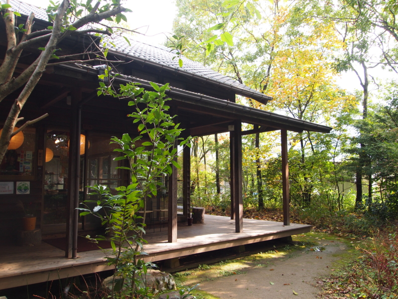 f:id:hanamizuki1966:20121028124323j:image:w450