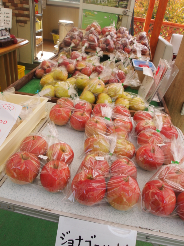 f:id:hanamizuki1966:20121102114148j:image:h400