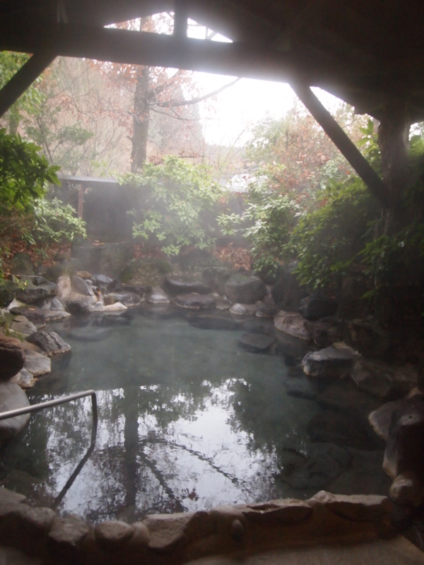 f:id:hanamizuki1966:20121126154513j:image:h400