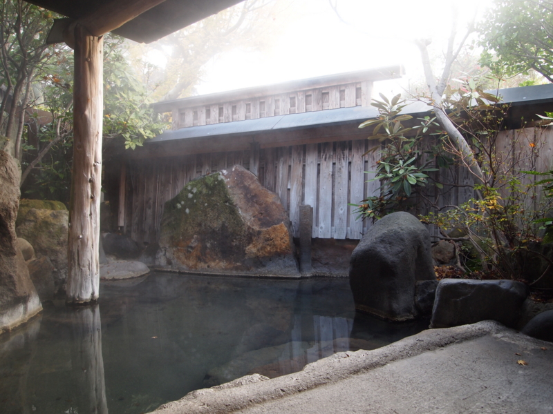 f:id:hanamizuki1966:20121127075315j:image:w400