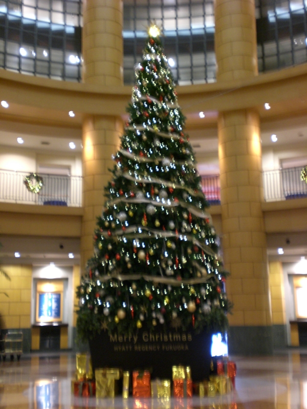 f:id:hanamizuki1966:20121214125646j:image:h300