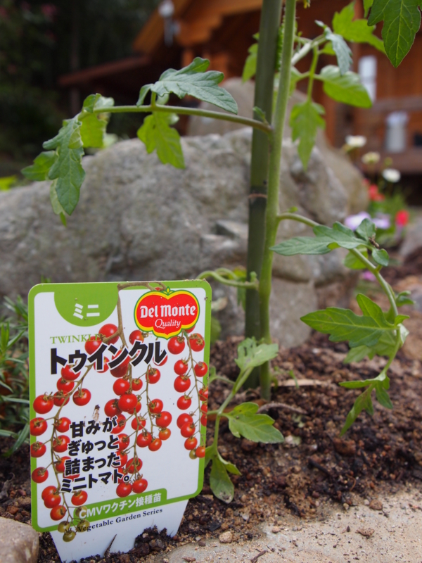 f:id:hanamizuki1966:20130503165032j:image:h300