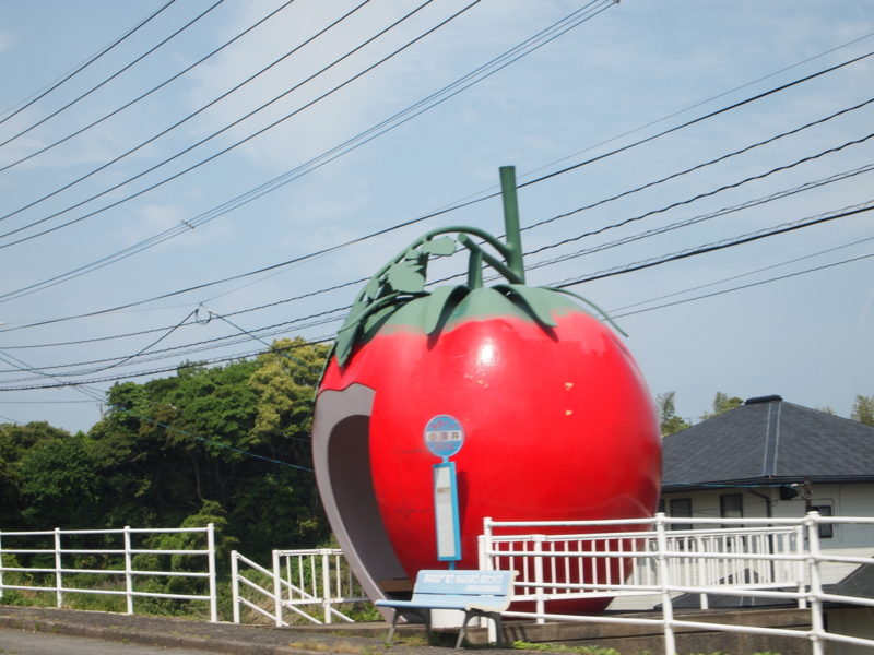 f:id:hanamizuki1966:20130516141705j:image:w450 f:id:hanamizuki1966:20130516141705j:image:w450