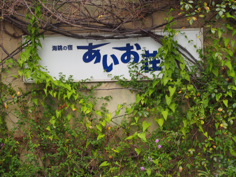 f:id:hanamizuki1966:20130907091906j:image:w300