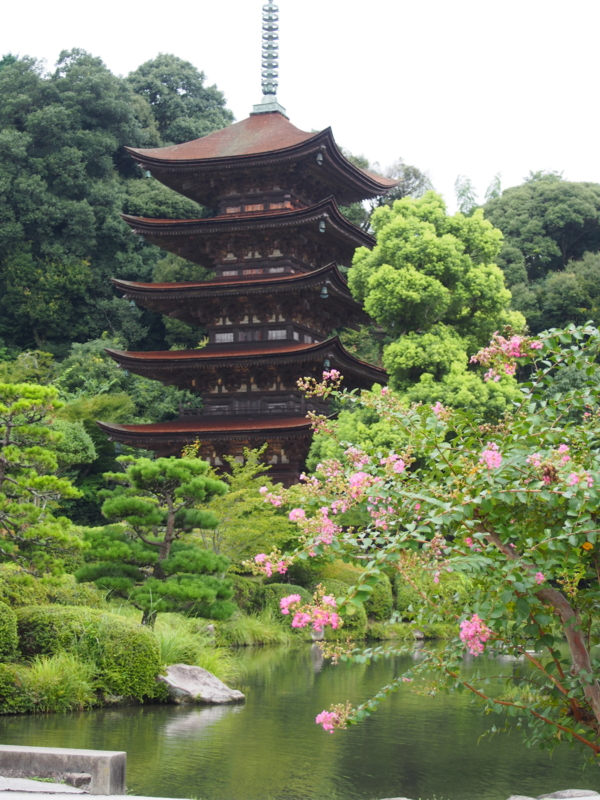 f:id:hanamizuki1966:20130907113358j:image:h500