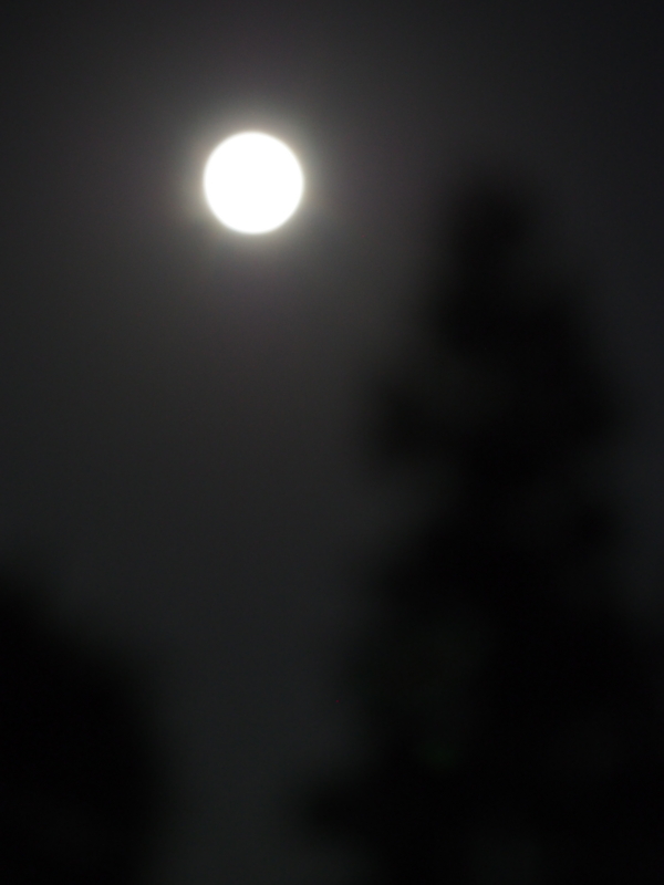 f:id:hanamizuki1966:20130919201522j:image:h300
