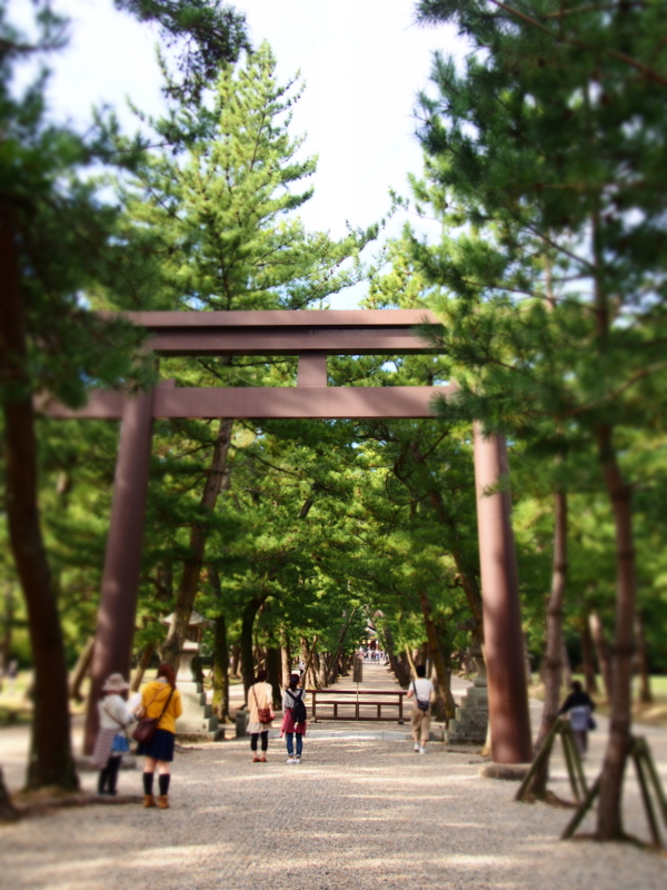 f:id:hanamizuki1966:20131004151252j:image:h500